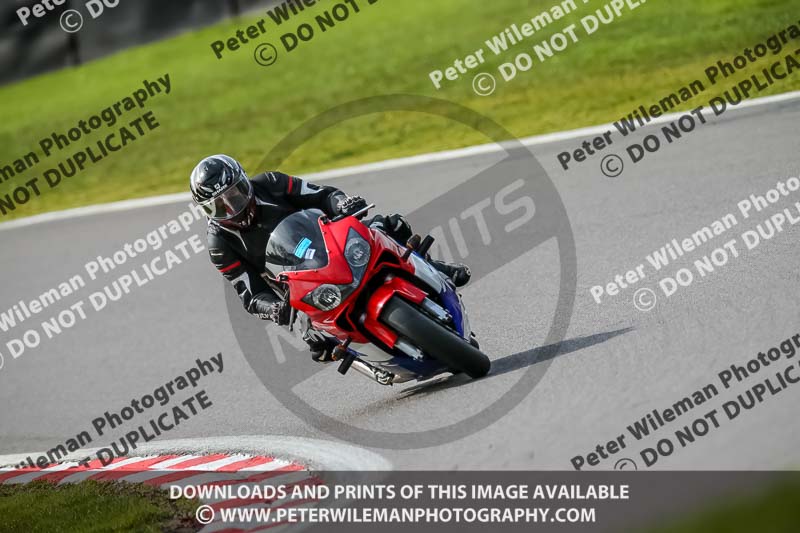 Oulton Park 21st March 2020;PJ Motorsport Photography 2020;anglesey;brands hatch;cadwell park;croft;donington park;enduro digital images;event digital images;eventdigitalimages;mallory;no limits;oulton park;peter wileman photography;racing digital images;silverstone;snetterton;trackday digital images;trackday photos;vmcc banbury run;welsh 2 day enduro